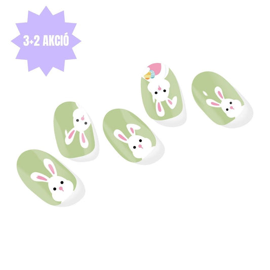 Hase