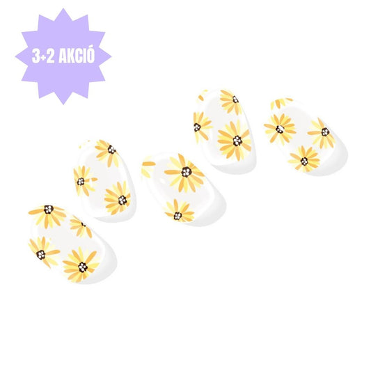 Sonnenblume