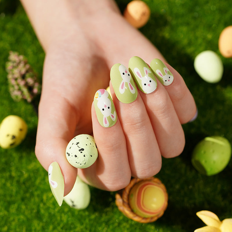 Hase